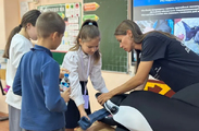 Тайны дельфинов Севастополя